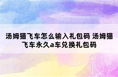 汤姆猫飞车怎么输入礼包码 汤姆猫飞车永久a车兑换礼包码